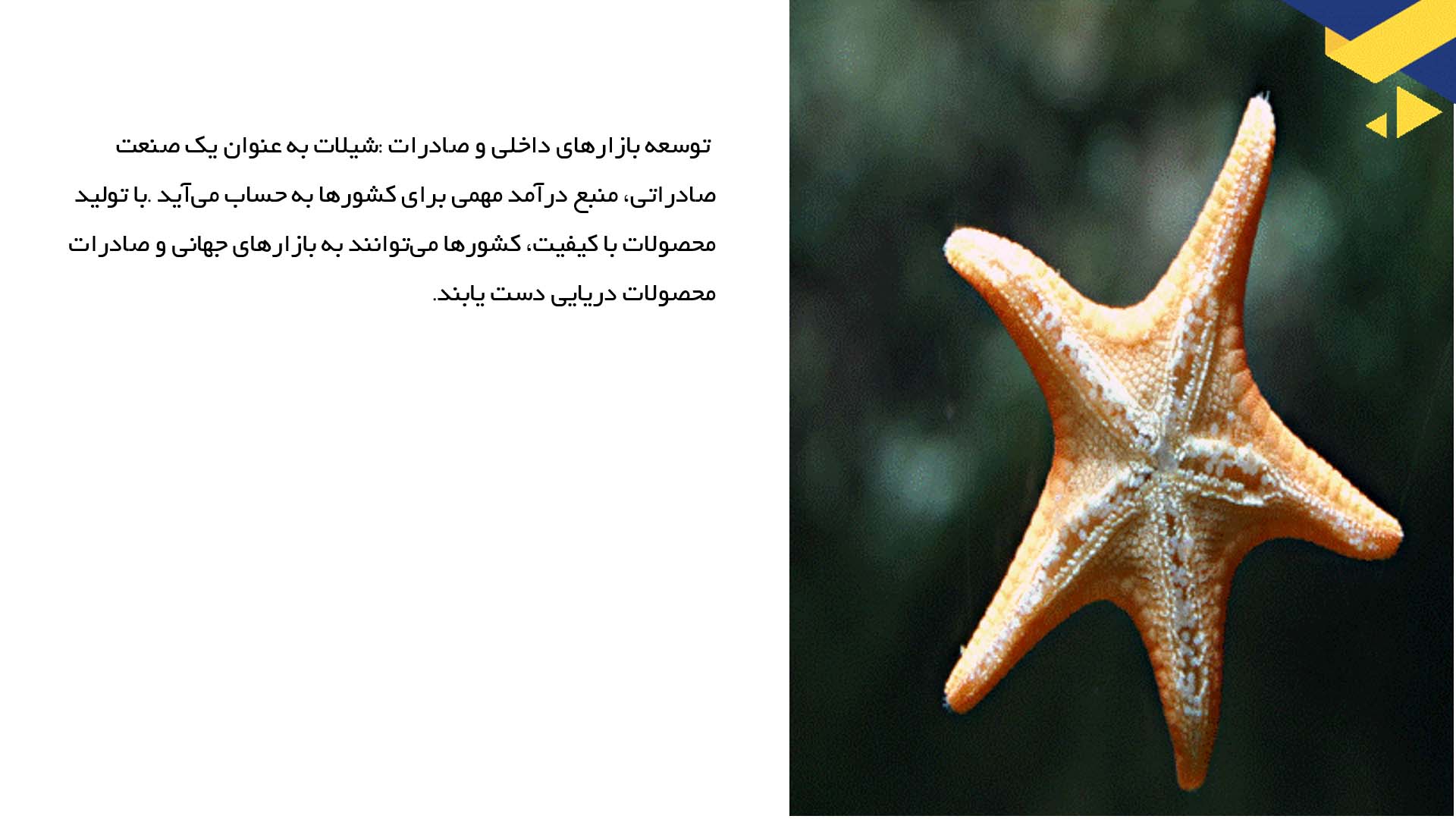 پاورپوینت در مورد تأثیرات اقتصادی و اجتماعی شیلات